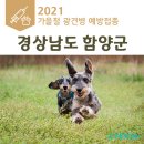 신성가축병원 이미지