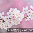 신증행정사 이미지