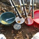 신장소류지 이미지