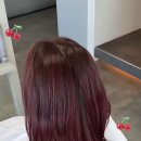 플럼무드