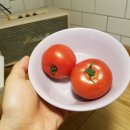 더샤벳아이스크림 이미지