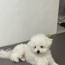 네일드잇(nailed it)