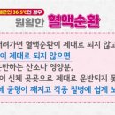 365의료기 이미지