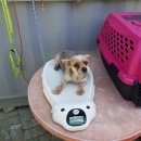 동명동주민센터 이미지