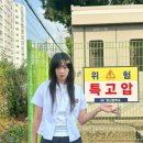 위키교육
