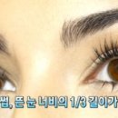 데일리플랜 이미지