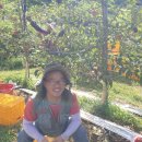 샬롬농원 이미지