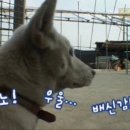 알로뱅크 이미지