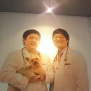 프라임 동물병원 앞 이미지