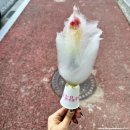 솜사탕후루 이미지