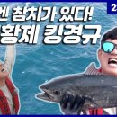 참치낚시 이미지