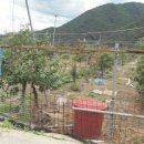 선리농장 이미지