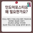 한국효려