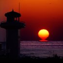 2019년 1월 ~ 3월 축제. 행사 50 곳 이미지