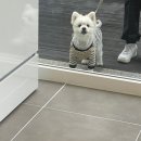 오베이크 이미지