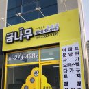 금나무 공인중개사사무소 이미지