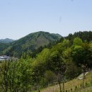 양지마을회관 | 두억봉(504m) 깃대봉[1](375m△전북137)성주봉(512m) 신흥봉(565m) 신정봉(591m) 깃대봉[2](479m△무주...