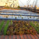 주례현대무지개상가 이미지