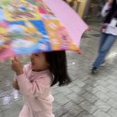 강원의료복지사회적협동조합밝음의원 | 강원도 원주 1박 2일 여행(밝음신협, 미로시장, 어머니손칼국수, 황둔막국수, 찐빵)