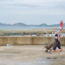 한산초등학교비진분교장 이미지