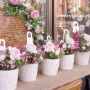 가온누리마켓 이미지