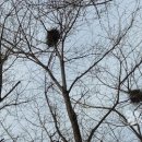 우리재천 이미지