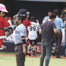 트윈스팜 이미지