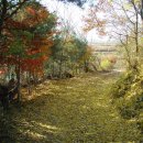 서림농원 이미지