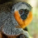 Cotton House 이미지