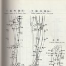 경희5편안한의원 이미지