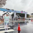 대박주유소 | 2026 경주 벚꽃 마라톤 하프 완주 후기