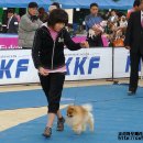 발안바이오고등학교 이미지