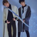 디클립