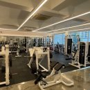 필로스짐 이미지