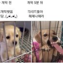 원정들1 | 250605 창원NC파크 원정 직관 후기 #1 - 티켓 예매, 좌석 추천, 시설, 팀스토어