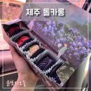 제주 돌카롱 중문점 제주투어패스 가격 맛 주차 후기