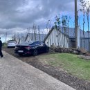 스테이인숲 이미지