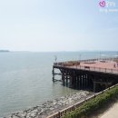 솔찬공원 이미지