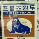 오렌지 애견 클럽 이미지