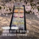 제주곱들락과일모찌 네이버블로그