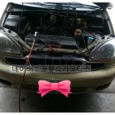 코뿔소카센타 이미지