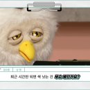 딩동댕 이미지