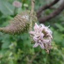 엘림랜드(주) 이미지