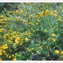 수민동물병원 이미지