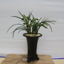 임실 군민회관 이미지