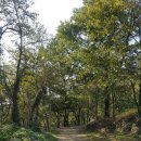 봉황교 주차장 이미지