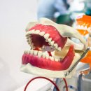 스마트치과기공소 이미지