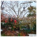 도혜원민박 이미지