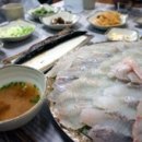 거북이회초밥 이미지