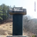 쌍이리오미 티스토리